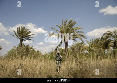 Ein Soldat der US-Armee führt durch einen Palmenhain in Baqubah, Irak, 30. März 2007, während einer gemeinsamen Patrouille mit Soldaten der irakischen Armee vom 2. Bataillon, 2. Brigade, 5. irakische Armee-Division.  Staff Sgt Stacy L. Pearsall Stockfoto