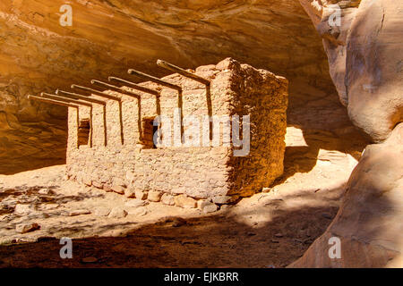 Puppenhaus Anasazi-Ruinen in der Nähe von Cedar Mesa im Südosten von Utah Stockfoto