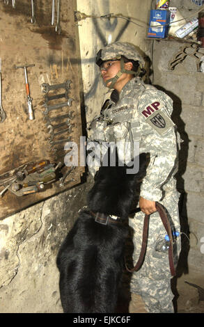 US Army Staff Sgt Kristina Columbus und ihre militärischen Gebrauchshund Anna suchen eine Garage, die verdächtigt wird verwendet, um improvisierte Sprengsätze Fahrzeug getragen 5. Juni 2007, in Mosul, Irak. Columbus ist der 25. Infanterie-Division zugeordnet.  Staff Sgt. Quinton Russ, US Air Force. Stockfoto