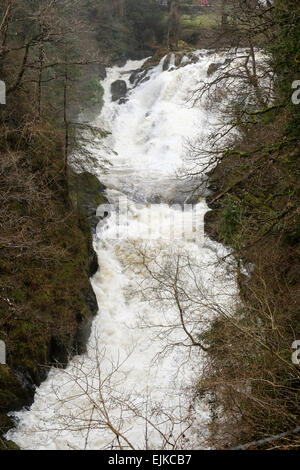 Betws-y-Coed, Conwy, North Wales, UK. 28. März 2015. Swallow Falls in voller Flut mit schnell fließenden Gewässern auf Afon Llugwy Fluss nach Starkregen in Snowdonia-Nationalpark. Bildnachweis: Realimage/Alamy Live-Nachrichten Stockfoto