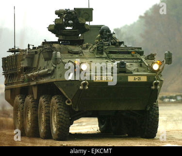 Ein M1126 Stryker Infantry Carrier Vehicle zugewiesen Alpha Company, 1. Bataillon, 27. Infanterie-Regiment, 2nd Stryker Brigade Combat Team Manöver bei Krieger Tal Rodriguez Range-Komplex, Süd Korea, 24. März 2007, während des Trainings, Rezeption, Inszenierung, vorwärts Bewegung und Integration/Fohlen Adler 2007. Die jährlichen gemeinsamen Gefechtsstand und Feld training Übung demonstriert U.S. lösen, Südkorea gegen Aggression nach außen verbessern, Kampfbereitschaft und Gelenk/kombinierter Interoperabilität zu unterstützen.  Masse der Kommunikationsspezialist 1. Klasse Daniel N. Woods Stockfoto