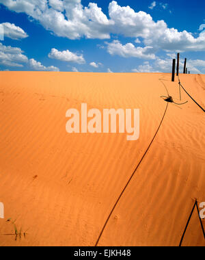 Sanddünen in Little Sahara SP, Waynoka, OK Stockfoto