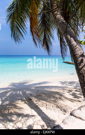 Das türkisblaue Wasser der Malediven auf Makunudu Island durch Palm Tree Frongs angesehen Stockfoto