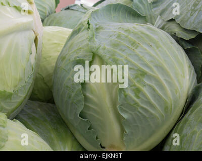 Haufen von Kohl in einem Supermarkt Vitrine. Stockfoto