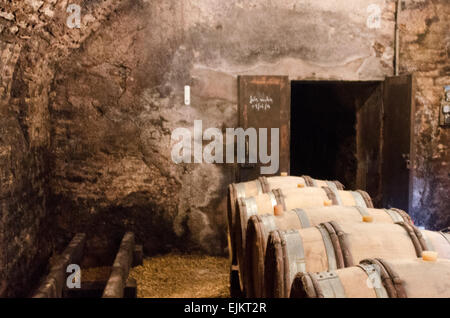 Fässer mit Wein in den Kellern der Domaine De La Folie, einen Weinberg in der Nähe von Chagny in Côte Chalonnaise von Burgund, Frankreich gespeichert. Stockfoto