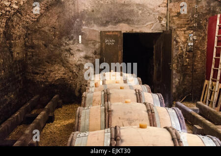 Wein Reifung in Fässern in den Kellern der Domaine De La Folie, einen Weinberg in der Nähe von Chagny in Côte Chalonnaise von Burgund, Frankreich. Stockfoto