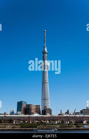 Tokyo Skytree, Blick vom Fluss Sumida, Tokio, Japan Stockfoto