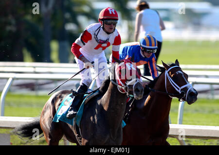 New Orleans, Louisiana, USA. 28. März 2015. 28. März 2015: International Star mit Miguel Mena Siege der Louisiana Derby Day auf dem New Orleans-Messegelände. Steve Dalmado, ESW, CSM, Alamy Live-Nachrichten Stockfoto