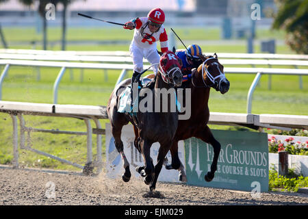 New Orleans, Louisiana, USA. 28. März 2015. 28. März 2015: International Star mit Miguel Mena Siege der Louisiana Derby Day auf dem New Orleans-Messegelände. Steve Dalmado, ESW, CSM, Alamy Live-Nachrichten Stockfoto