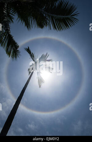 Boao, Chinas Provinz Hainan. 29. März 2015. Solar Halo erscheint am Himmel über Boao wo 2015 Boao Forum für Asien (BFA), Süd-China Provinz Hainan, 29. März 2015 stattfindet. Bildnachweis: Shen Hong/Xinhua/Alamy Live-Nachrichten Stockfoto