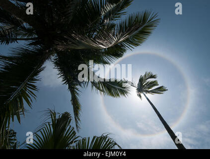 Boao, Chinas Provinz Hainan. 29. März 2015. Solar Halo erscheint am Himmel über Boao wo 2015 Boao Forum für Asien (BFA), Süd-China Provinz Hainan, 29. März 2015 stattfindet. Bildnachweis: Shen Hong/Xinhua/Alamy Live-Nachrichten Stockfoto