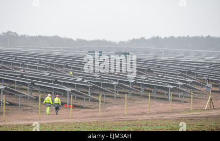Die Installation der p.v. Solar Panels auf einen Solarpark auf Welbeck Estate, Meden Vale, Nottinghamshire. Stockfoto