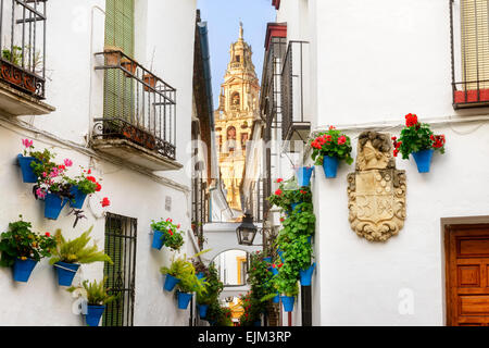 Blumenarrangement / hängende Körbe in Blumenstraße, la calla de las Flores, Glockenturm der Mezquia, Moschee von Cordoba/la Torre del Alminar Jenseits Stockfoto