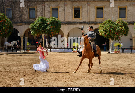 Der Reitsport Show in den königlichen Ställen von Cordoba Stockfoto