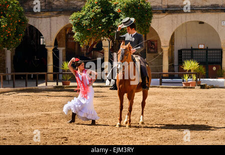 Der Reitsport Show in den königlichen Ställen von Cordoba Stockfoto