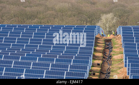 Die Installation der p.v. Solar Panels auf einen Solarpark auf Welbeck Estate, Meden Vale, Nottinghamshire. Stockfoto