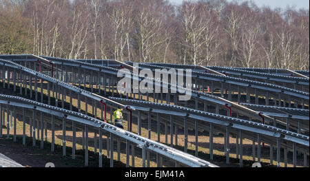 Die Installation der p.v. Solar Panels auf einen Solarpark auf Welbeck Estate, Meden Vale, Nottinghamshire. Stockfoto