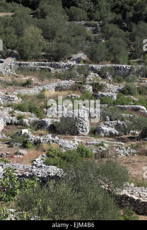 alte Farm-Hütte im zentralen Korcula Kroatien traditionelle Trockenmauer Bauweisen der region Stockfoto