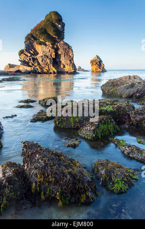 Meer-Stacks bei Harris Beach entlang der Küste von Oregon, Harris Beach State Park, Oregon, USA. Stockfoto