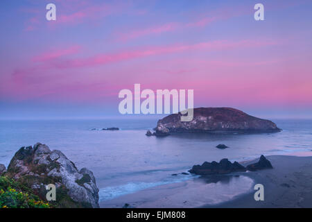 Rosa Himmel bei Sonnenaufgang über Harris Beach entlang der Küste von Oregon, Harris Beach State Park, Oregon, USA. Stockfoto