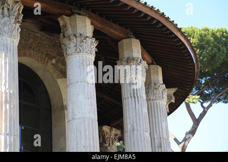 Italien. Rom. Die kreisförmigen Tempel des Hercules Victor (früher gelehrt, ein Tempel der Vesta zu sein). Gebaut im zweiten Jahrhundert v. Chr. Stockfoto