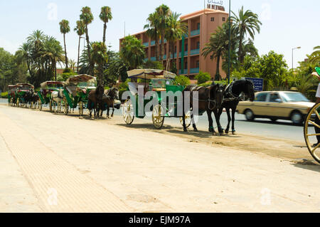 Caleches in Marrakesch, Marokko Stockfoto