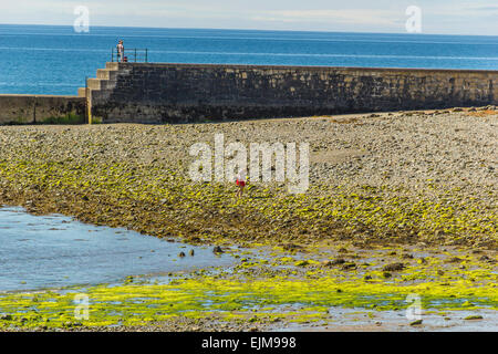 Einziger Junge spielt am Weststrand in Criccieth mit Cardigan Bay im Hintergrund, Gwynedd, Nordwales, Vereinigtes Königreich Stockfoto