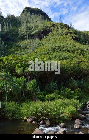 Üppige tropische Landschaft im Limahuli Garten und Konserve, Kauai Hawaii. Stockfoto