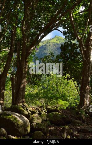 Üppige tropische Landschaft im Limahuli Garten und Konserve, Kauai Hawaii. Stockfoto