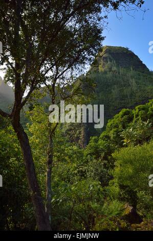 Üppige tropische Landschaft im Limahuli Garten und Konserve, Kauai Hawaii. Stockfoto