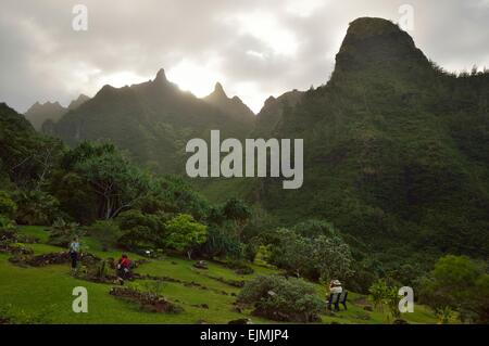 Üppige tropische Landschaft im Limahuli Garten und Konserve, Kauai Hawaii. Stockfoto