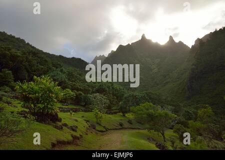 Üppige tropische Landschaft im Limahuli Garten und Konserve, Kauai Hawaii. Stockfoto