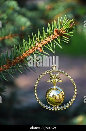 Weihnachts-Dekoration in den Kiefer Stockfoto