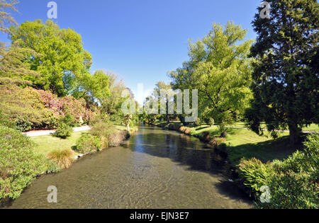 Dieser Fluss fließt durch Christchurch Botanical Gardens, New Zealand, 1868 zu einem englischen Stil gebaut. Stockfoto