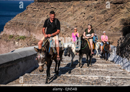 Touristen, die durch Maultiere (Esel) oben die steilen Felsenweg Stadt Fira, Santorini (Thera), Griechenland. Stockfoto