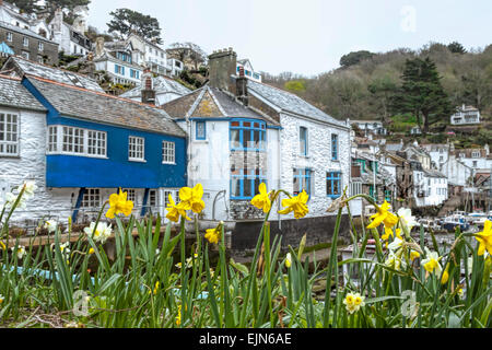 Cornwall, England, Vereinigtes Königreich: Frühling in Polperro, ein Dorf und Fischerhafen, umgeben von dicht gepackten alte Fischerhäuser. Stockfoto