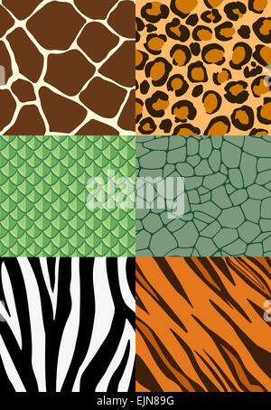Animal print Musterdesign Satz von print Tierplättchen Stockfoto