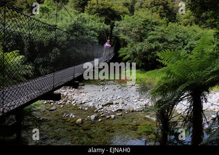 Wanderer auf Fussgängerbrücke bei Monro beach Trail durch subtropischen Regenwald Neuseeland Stockfoto