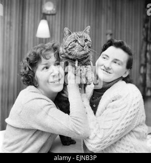 Jasper, die Katze mit zwei Häusern, hier mit Frau Whittaker (links) und Frau Crossley seine beiden Besitzer zu sehen. Februar 1972 72-1482 Stockfoto