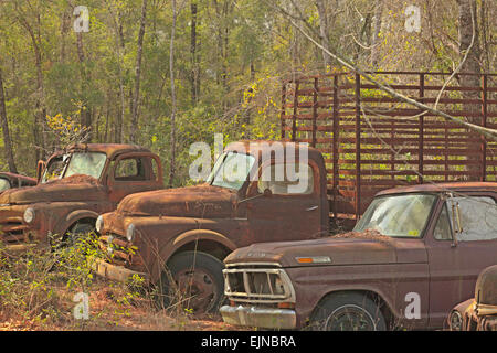 Auto Friedhof in Florida. mehrere alte, verstorbene und rostige Autos haben ordentlich beiseite zu Decay mit Ehre. Stockfoto