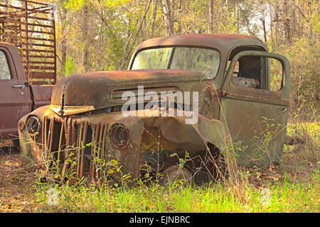 Auto Friedhof in Florida. mehrere alte, verstorbene und rostige Autos haben ordentlich beiseite zu Decay mit Ehre. Stockfoto