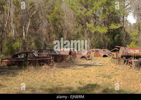 Auto-Friedhof in Florida. Mehrere alte, nicht mehr existierenden und rostige Autos haben ordentlich beiseite gesetzt worden, mit Ehre zu verfallen. Stockfoto