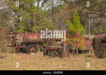 Auto-Friedhof in Florida. Mehrere alte, nicht mehr existierenden und rostige Autos haben ordentlich beiseite gesetzt worden, mit Ehre zu verfallen. Stockfoto