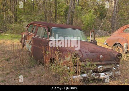 Auto-Friedhof in Florida. Mehrere alte, nicht mehr existierenden und rostige Autos haben ordentlich beiseite gesetzt worden, mit Ehre zu verfallen. Stockfoto