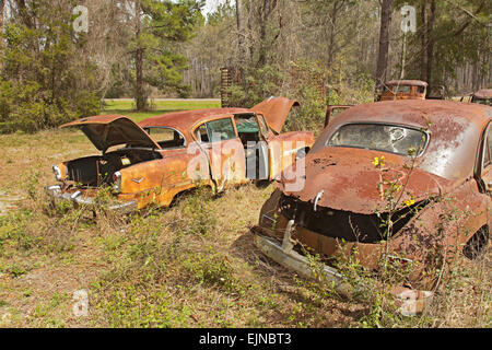 Auto-Friedhof in Florida. Mehrere alte, nicht mehr existierenden und rostige Autos haben ordentlich beiseite gesetzt worden, mit Ehre zu verfallen. Stockfoto