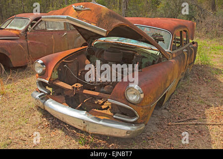 Auto-Friedhof in Florida. Mehrere alte, nicht mehr existierenden und rostige Autos haben ordentlich beiseite gesetzt worden, mit Ehre zu verfallen. Stockfoto