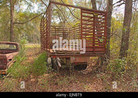 Auto-Friedhof in Florida. Mehrere alte, nicht mehr existierenden und rostige Autos haben ordentlich beiseite gesetzt worden, mit Ehre zu verfallen. Stockfoto