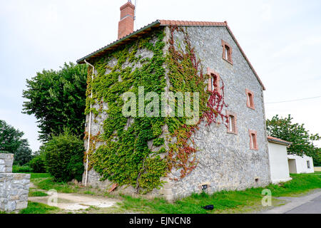 Reben im Spätsommer auf Haus in Rhône-Alpes Region von Frankreich Stockfoto