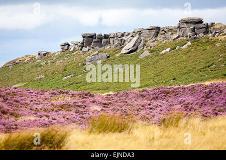 Ansichten von Heather von The Dale, Hope Valley, über Heathersage in der Peak District National Park, Derbyshire, England, UK Stockfoto