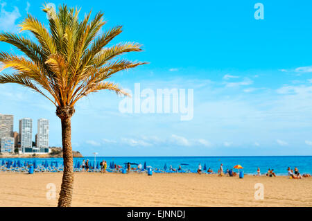 Blick auf Strand von Levante in Benidorm, Spanien, mit unscharfen Urlauber auf dem Sand im Hintergrund hängen Stockfoto